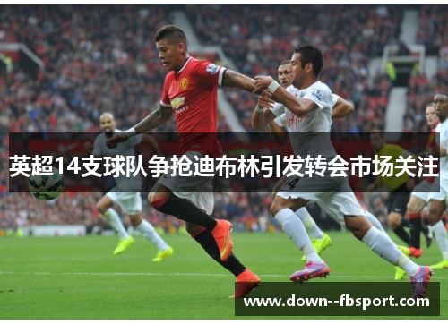 英超14支球队争抢迪布林引发转会市场关注